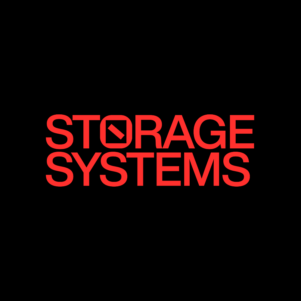 Storage Systems Limited | Professional Services Logo