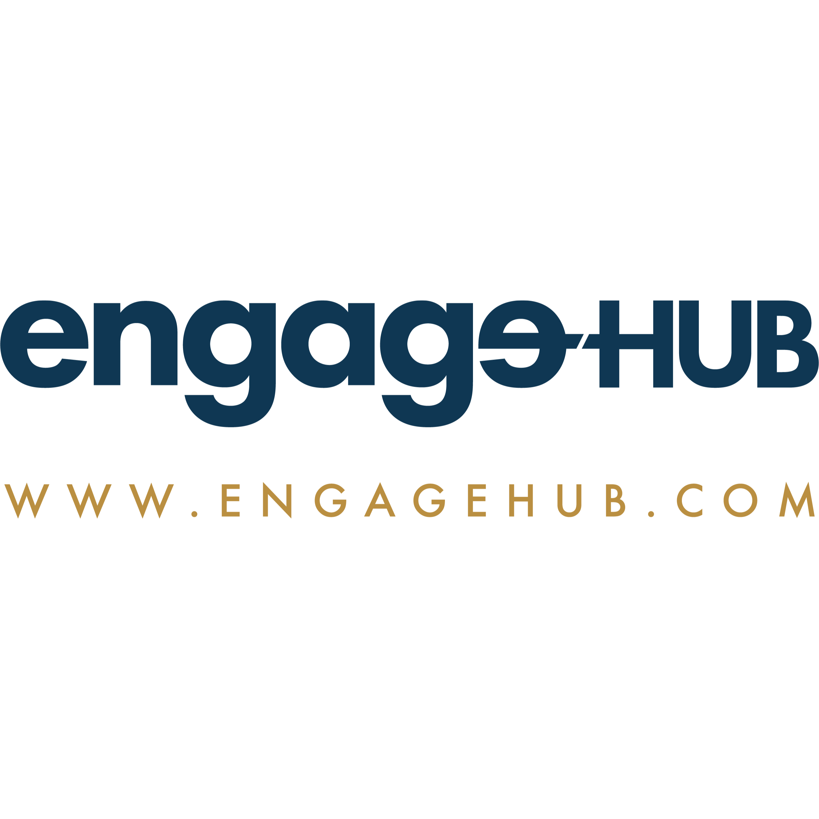 Engage Hub | Consumer Products Logo