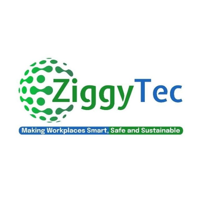 ZiggyTec | Energy Logo