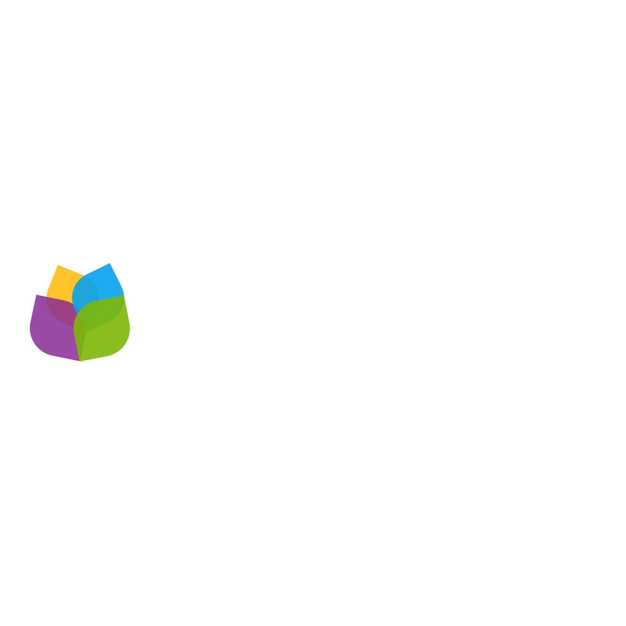 SchoolWise | Education Logo