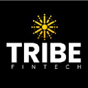 Tribe Fintech | Financial Services Logo