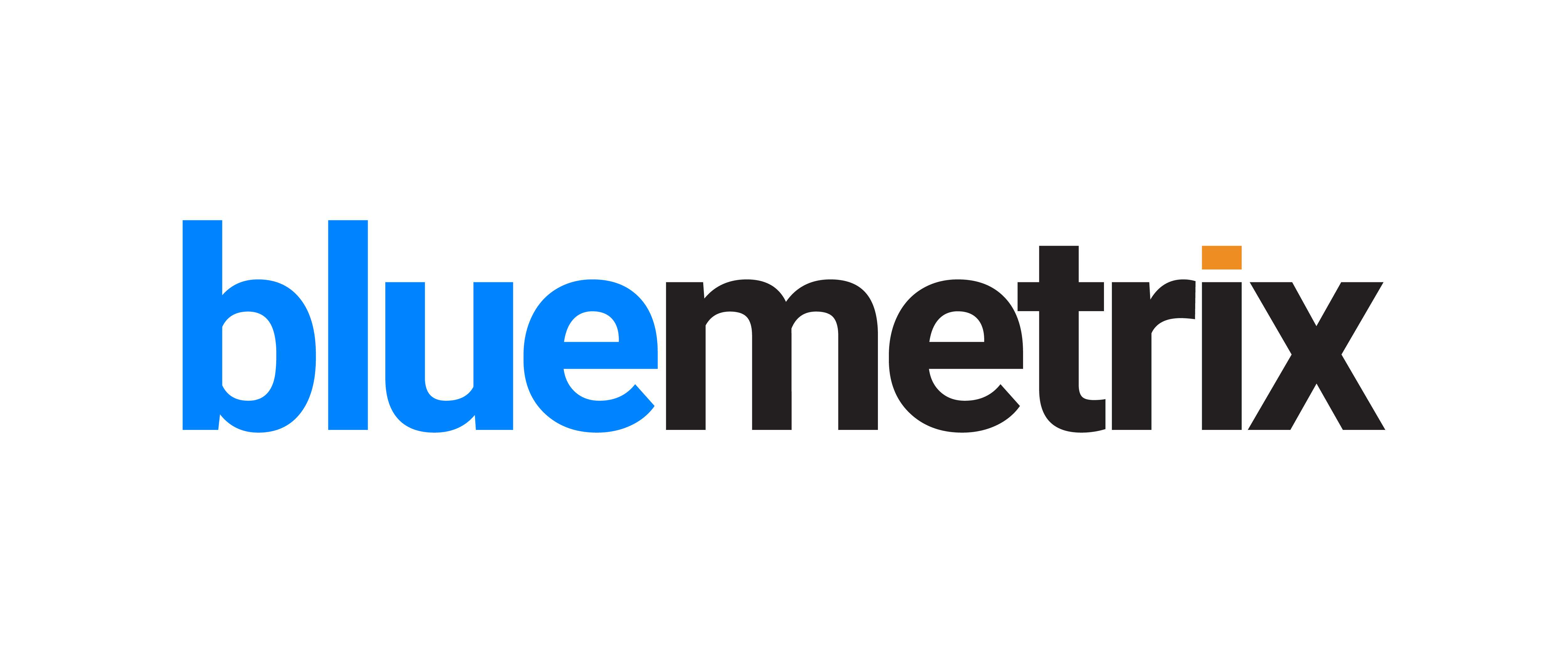 BLUEMETRIX LTD | Professional Services Logo