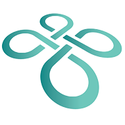 Drone Solutions Ireland | Aerospace & Aviation Logo