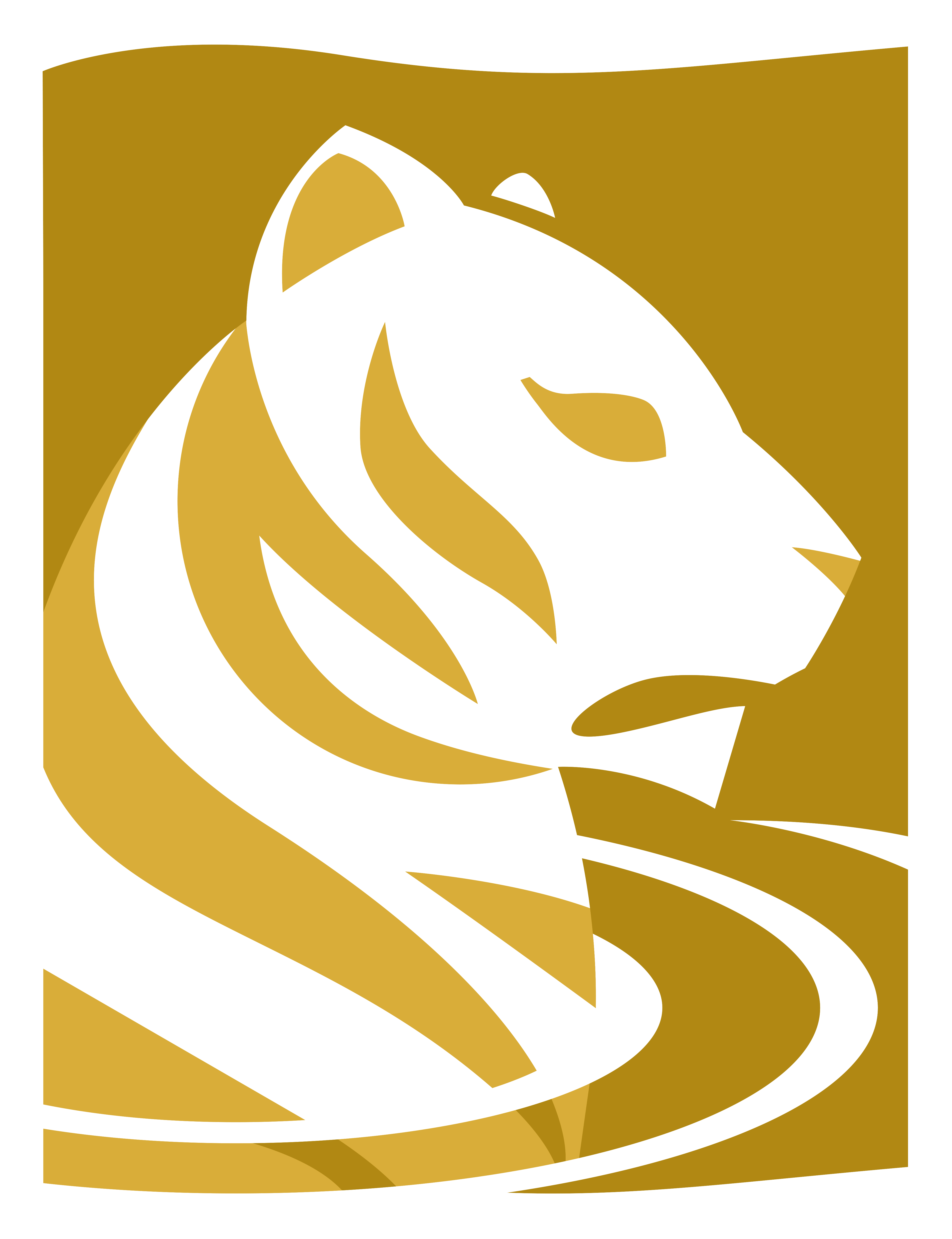 INLE Risk Management Ltd. | Banking, Finance & Insurance Logo