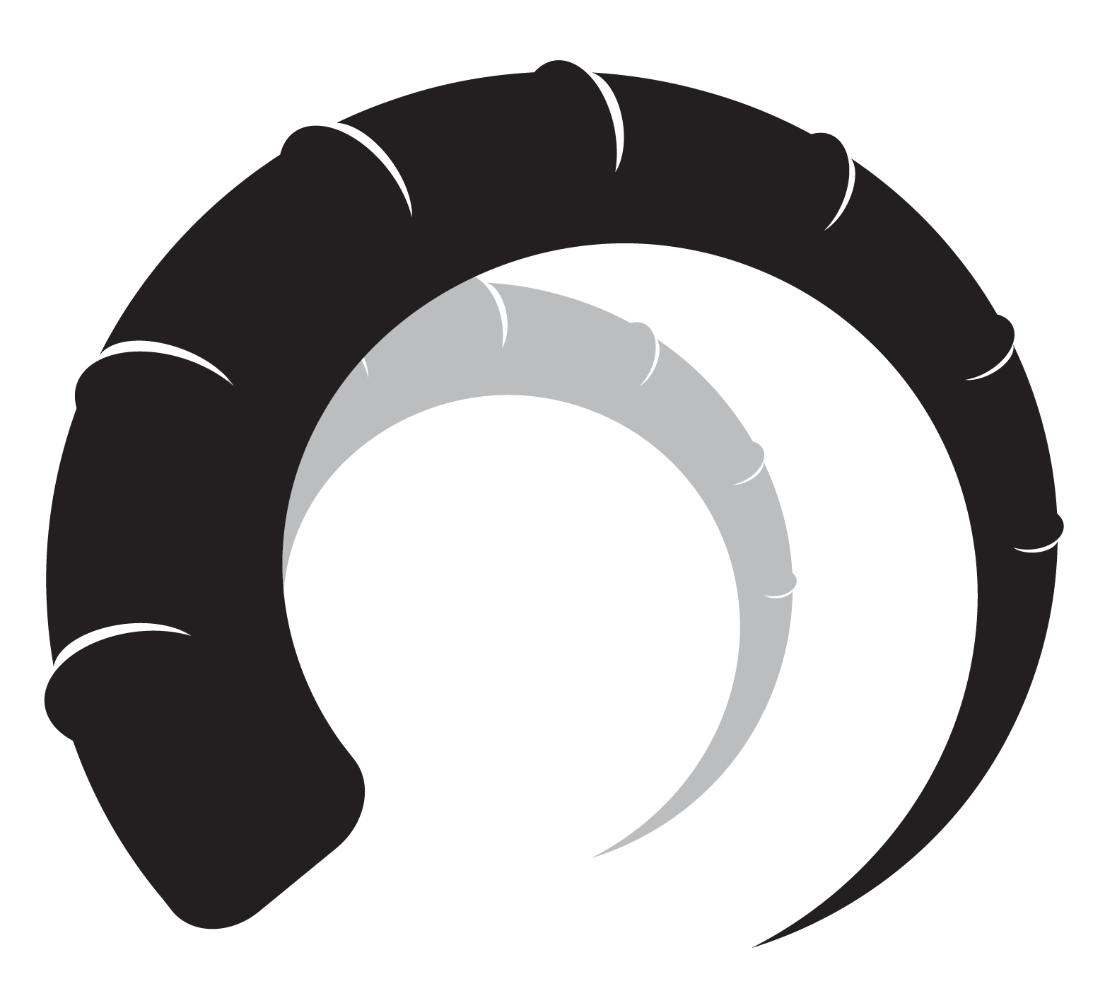 Blackhorn Wealth Management | Banking, Finance & Insurance Logo