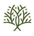 Olive & Vine | Accounting, Legal & Business Support Logo