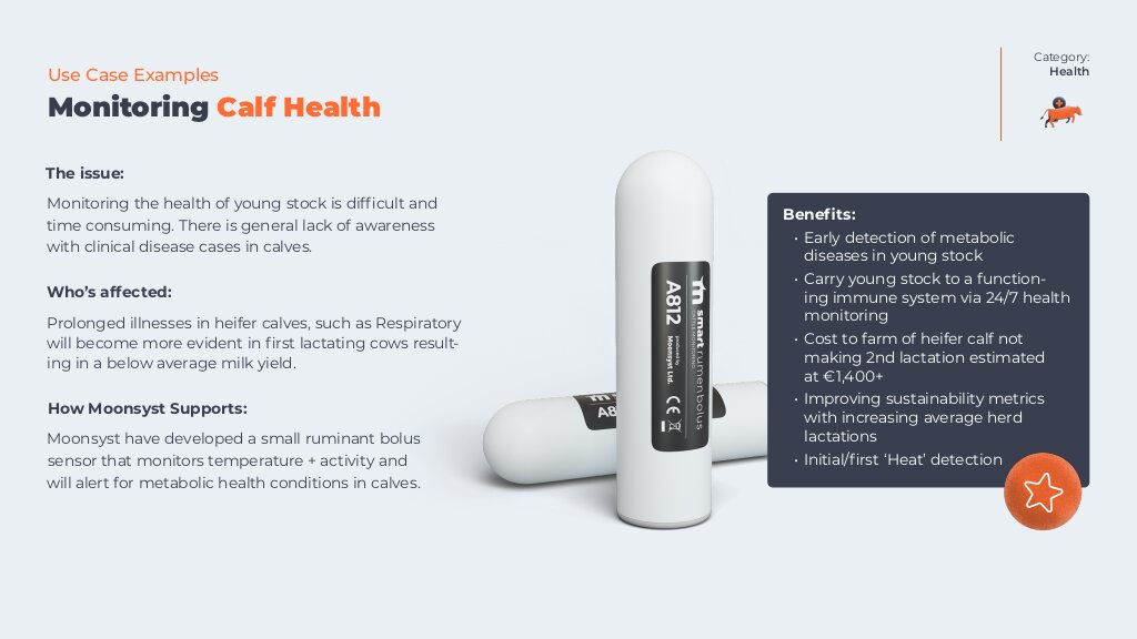 Small Ruminant Bolus