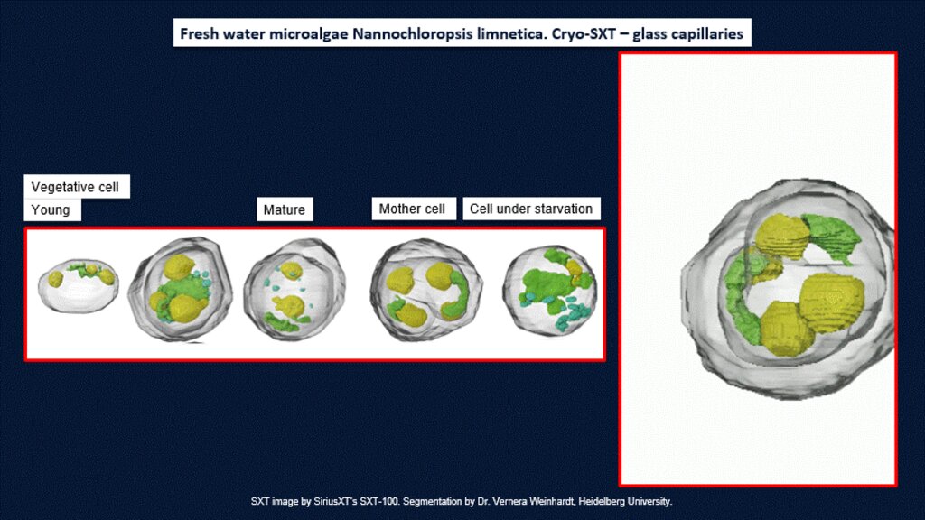 Use of capillaries to produce 360 degree images