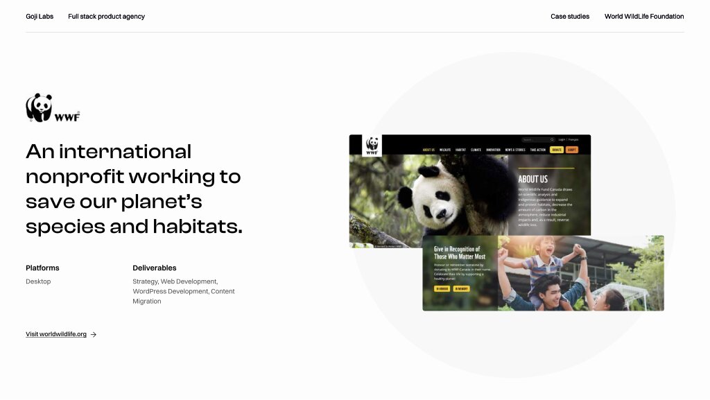 World WildLife Foundation